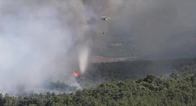 İzmir Bornova'da orman yangını... Vali Elban: 