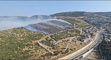 İzmir Bornova'da ormanlık alanda yangın