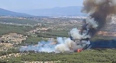 İzmir Bornova’da ziraat arazisinde başlayan yangın ormana sıçradı