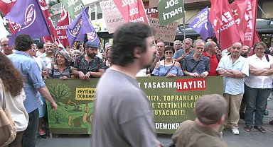 İzmir’de “Zeytinlik Talan Yasası”na tepki büyüyor...