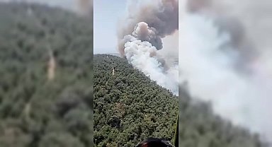İzmir Foça’da orman yangını
