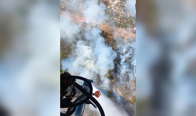 İzmir Foça’da orman yangını