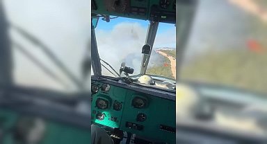 İzmir’in Aliağa ilçesinde orman yangını