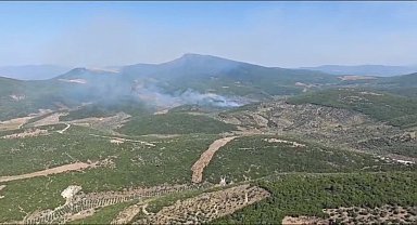 İzmir’in Torbalı ilçesinde orman yangını
