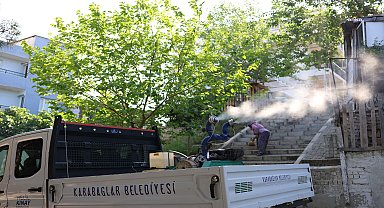 Karabağlar’da haşereyle mücadele sürüyor