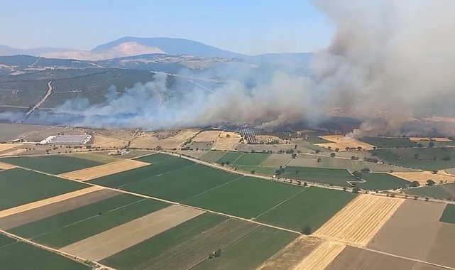 Kınık’ta orman yangını: Havadan ve karadan müdahale sürüyor