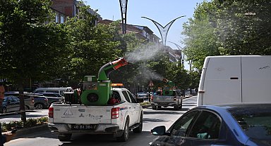 Kırşehir Belediyesi, vektörle mücadele çalışmalarına devam ediyor