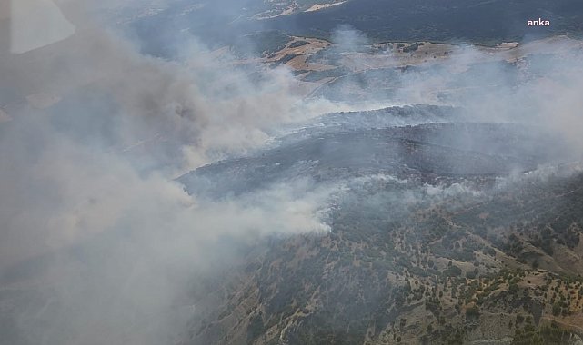 Kula’daki orman yangını kontrol altına alındı