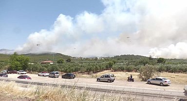Manisa Akhisar'da orman yangını: Tahliyeler başladı, müdahale sürüyor 