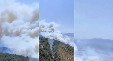 Manisa Kırkağaç’ta orman yangını