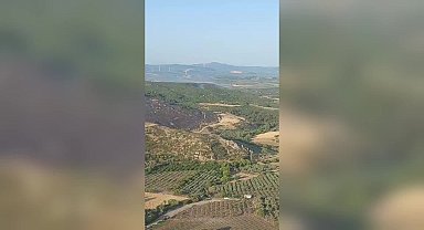 Manisa Kırkağaç’taki orman yangını kontrol altına alındı