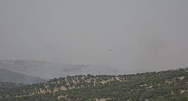 Mardin’de orman yangınına havadan ve karadan müdahale sürüyor