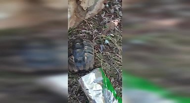 Marmaris Belediyesi ekipleri, doğaya atılan atık nedeniyle tehlike altındaki kaplumbağayı kurtardı