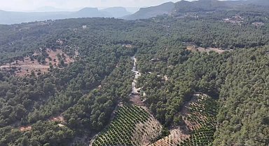 Mersin Büyükşehir Belediye Başkanı Seçer, Emirler Orman Parkı Piknik Alanı'nı inceledi