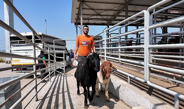 Mersin Büyükşehir Belediyesi'nden 23 noktada kurban kesim hizmeti