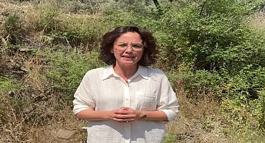Muğla'da zeytinlik alanda çıkan yangın ormana sıçradı