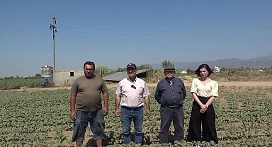 Nazilli çiftçisi pamuk üretiminde zor günler yaşıyor: “Artık mücadele edecek gücümüz kalmadı”