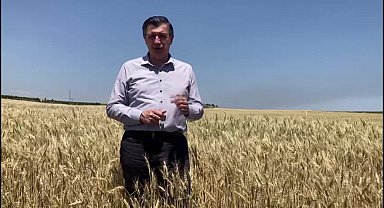Prof. Dr. Gaytancıoğlu’dan buğday fiyatına tepki: “Üretimin devamını sağlayacak bir fiyat değil”