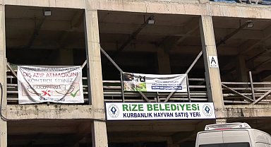 Rize’de kurban satışı durma noktasında... Besiciler Diyanete ve tarım politikalarına tepkili