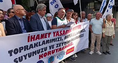 Samsun’da zeytinlik düzenlemesine protesto