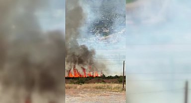 Sinop’ta otluk alanda çıkan yangın drone ile görüntülendi