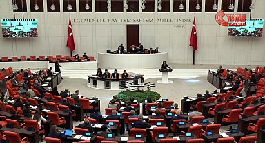 TBMM Genel Kurulu... Gülcan Kış: