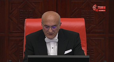 TBMM Genel Kurulu'nda zeytinlik alanların madenciliğe açılmasını da kapsayan teklife tepki: