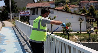 Tekirdağ’da sivrisineklerle mücadele sürüyor