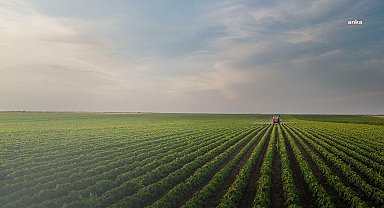 TMO 2025 yılı hububat alım fiyatları açıklandı