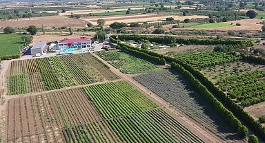 “Uluslararası 6. Balıkesir Aromaterapi Festivali” bu yıl uluslararası boyut kazanıyor