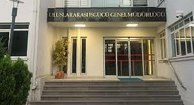 Uluslararası İşgücü Genel Müdürlüğü, yabancı çoban ve hayvan bakıcısı çalışma izni başvurularının başladığını duyurdu