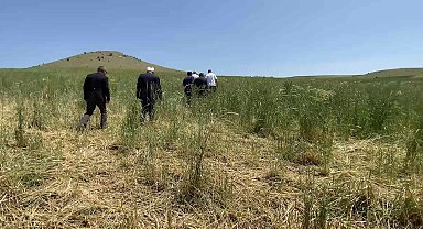 Yozgat çiftçisine darbe üstüne darbe… Kuraklık, dolu, sel nedeniyle ekili alanları zarar gören çiftçiye, bir darbe de fiyattan geldi