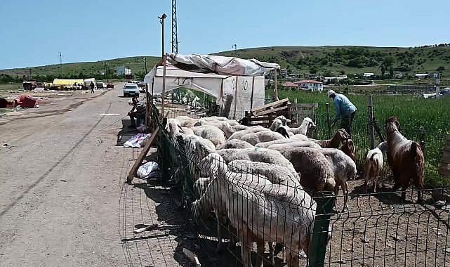 Yozgat’ta besiciler Kurban Bayramı satışlarında umduğunu bulamadı