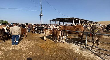 Yozgat’ta hayvan pazarlarına tedbiren