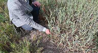 Yozgat’ta tarım alanlarını önce kuraklık, şimdi de dolu vurdu