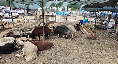 Yüreğir'de Kurban Bayramı öncesi sıkı denetim