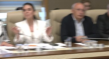 Zeytinlikleri madencilik faaliyetine açacağı nedeniyle eleştirilen kanun teklifinin görüşmelerinde aktivistler dinlenecek