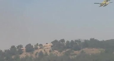 Ali Yerlikaya'dan yangınlara ilişkin açıklama: