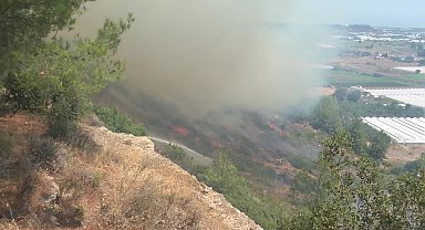 Antalya Büyükşehir Belediyesi Başkan Vekili Özdemir: