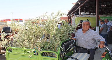 Antalya Büyükşehir Belediyesi’nden 19 ilçeye 40 bin zeytin fidanı desteği