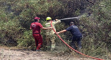 Antalya'da çıkan orman yangınları kontrol altına alındı