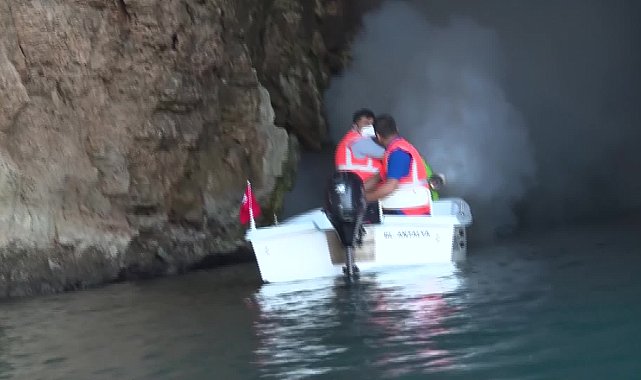 Antalya genelinde haşereyle mücadele çalışmaları sürüyor
