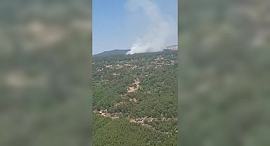 Aydın Çine’de orman yangını
