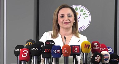 Ayşegül Doğan: