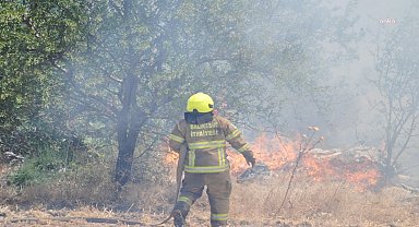 Balıkesir itfaiyesi, Ege Bölgesi'ndeki yangın söndürme çalışmalarında bölgeye ekip gönderdi