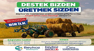 Beykoz’da üretilen silajlık mısır, değerinde alım ile yerli hayvancılığa destek