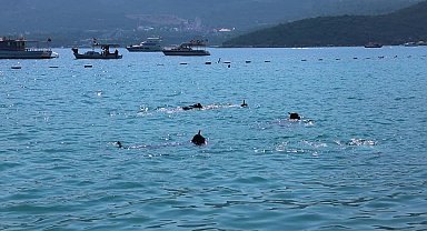 Bodrum Belediyesi’nden Torba’da deniz dibi temizliği