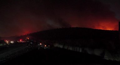 Buca’da orman yangını: 2 kişi gözaltında