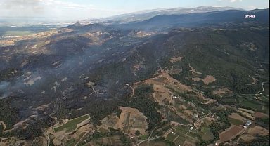 Buca ve Saruhanlı ilçelerindeki orman yangınları kontrol altına alındı