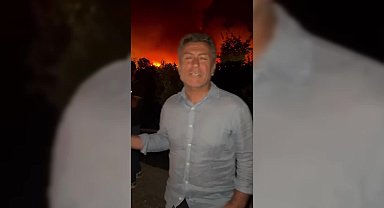 Bursa'da orman yangını... Orhan Sarıbal,